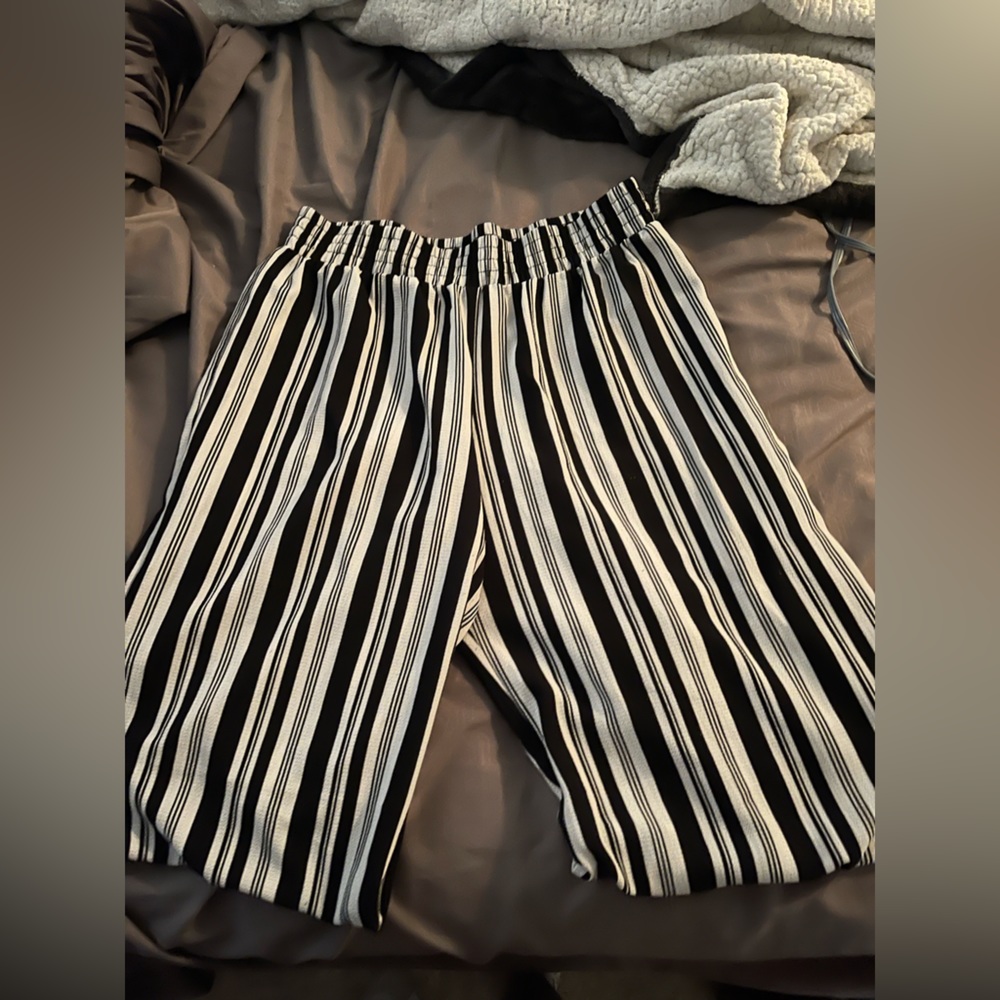 Women’s dress pants